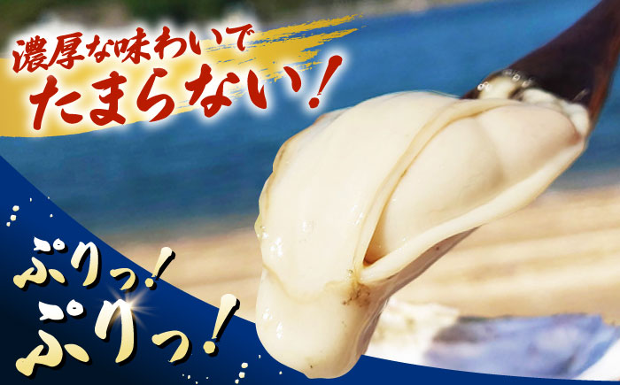 【年内発送】特選 牡蠣三昧！【瞬間冷凍】広島牡蠣 むき身 1.8kg カキ かき 料理 簡単 魚介類 海鮮 ギフト 広島県産 江田島市/株式会社門林水産 [XAO026] 牡蠣