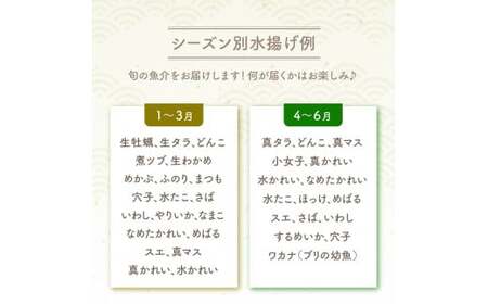 【隔月3回定期便 / 下処理済】鮮魚セット 三陸海の恵み詰め合わせ  (1回あたりのお届け目安：1～2人用) 【 鮮魚 海鮮 お刺身 魚介 魚介類 鮮魚BOX 詰め合わせ セット 三陸産 国産 天然 