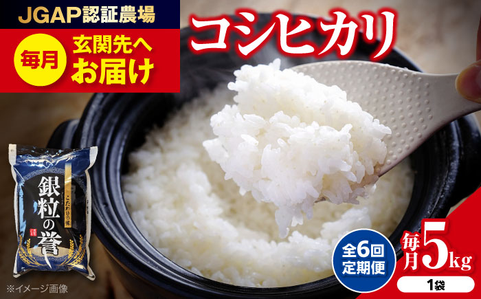 【全6回定期便】こしひかり 5kg 【令和7年産米】 米 白米 お米 ご飯 コシヒカリ 三次市/アグリ君田 [APDC005]