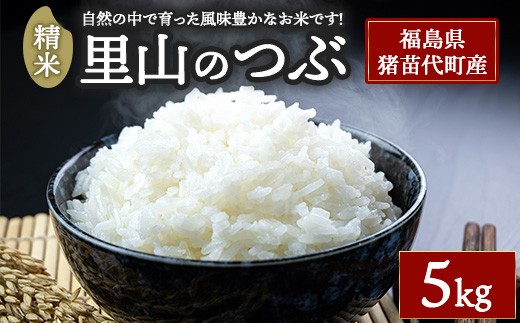 令和7年度産 里山のつぶ 精米 5kg   | 米 こめ 白米 精米 ごはん お米 5キロ 国産米 ブランド米 銘柄米 オリジナル品種 福島県産 農家直送 産地直送 さくらファーム 大粒 おにぎり 弁当 家庭用 精米済み 猪苗代町
