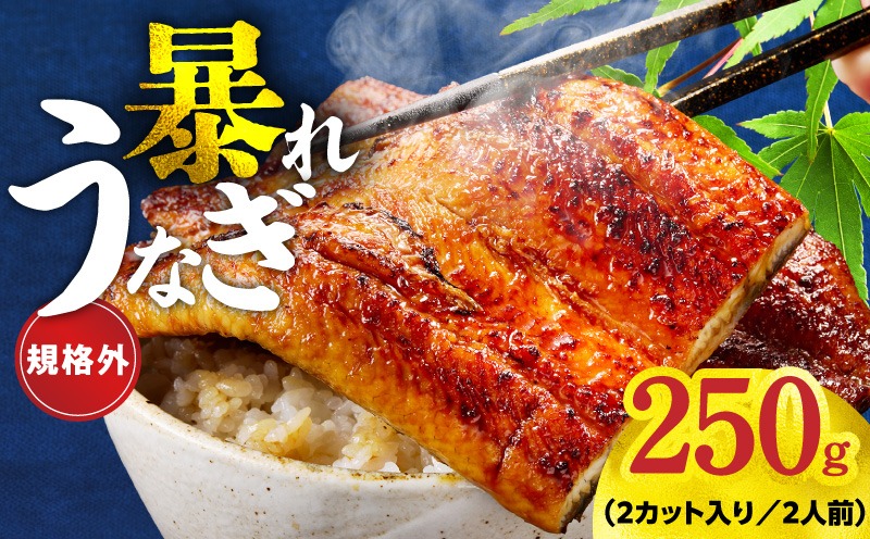 G3973 【規格外】うなぎ 暴れ盛り 250g（2カット）【お試し 鰻 かば焼き 簡単調理 訳あり サイズ不揃い 人気 惣菜 うな重 うな丼 ひつまぶし】