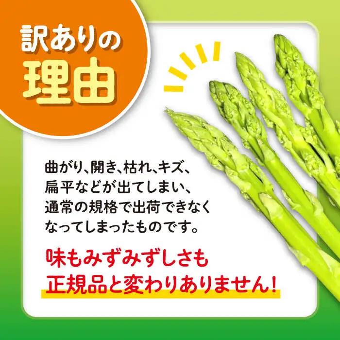 【先行予約】訳あり アスパラガス1.5kg [JGI005] アスパラ 野菜