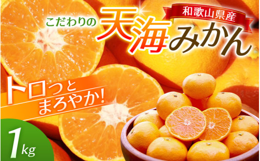 【先行予約】天海みかん 完熟宮川早生1kg  / みかん 和歌山 ミカン フルーツ 果物 早生みかん 柑橘 田辺市 紀州田辺 甘い 【nak004】