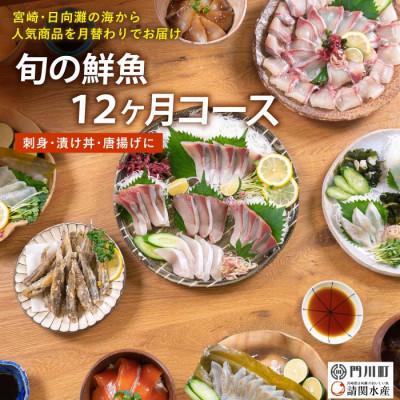 ふるさと納税 門川町 【毎月定期便】旬の鮮魚12ヶ月コース(門川町)全12回