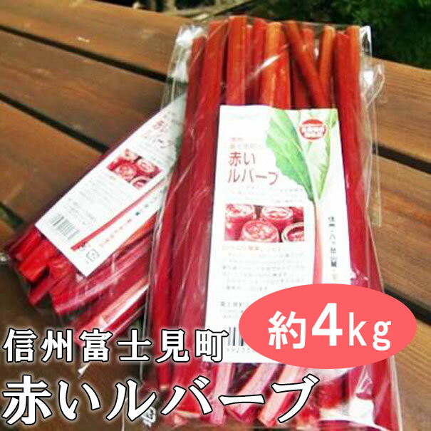 【ふるさと納税】＜25年発送先行予約＞ 富士見町の赤いルバーブ約4kg（500g×8袋） 2025年6月上旬より順次発送 【 ルバーブ 赤いルバーブ 富士見町ルバーブ生産組合 野菜 健康野菜 ジャム 美肌効果 生活習慣病予防 植物繊維 アントシアニン カリウム カルシウム 】