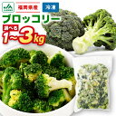 【ふるさと納税】＜選べる＞JAむなかたブロッコリー部会より！冷凍ブロッコリー 1kg 2kg 3kg【ほたるの里】野菜 冷凍野菜 一口サイズ 急速冷凍 使いやすい 送料無料