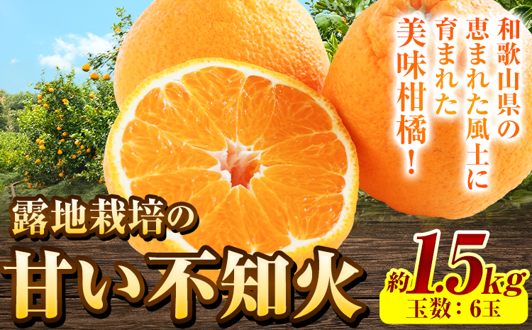 露地栽培の甘い 不知火 (デコ) 6玉 約1.5kg きよ農園《2026年2月末-3月末頃出荷(土日祝除く)》和歌山県 日高町 柑橘 不知火 しらぬい デコポン と同品種 フルーツ 果物 スイーツくだもの