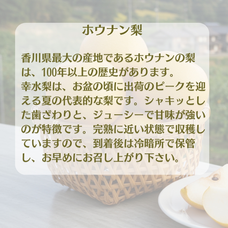 ホウナンの梨（幸水梨）約5kg 果物 フルーツ ナシ 先行予約 
