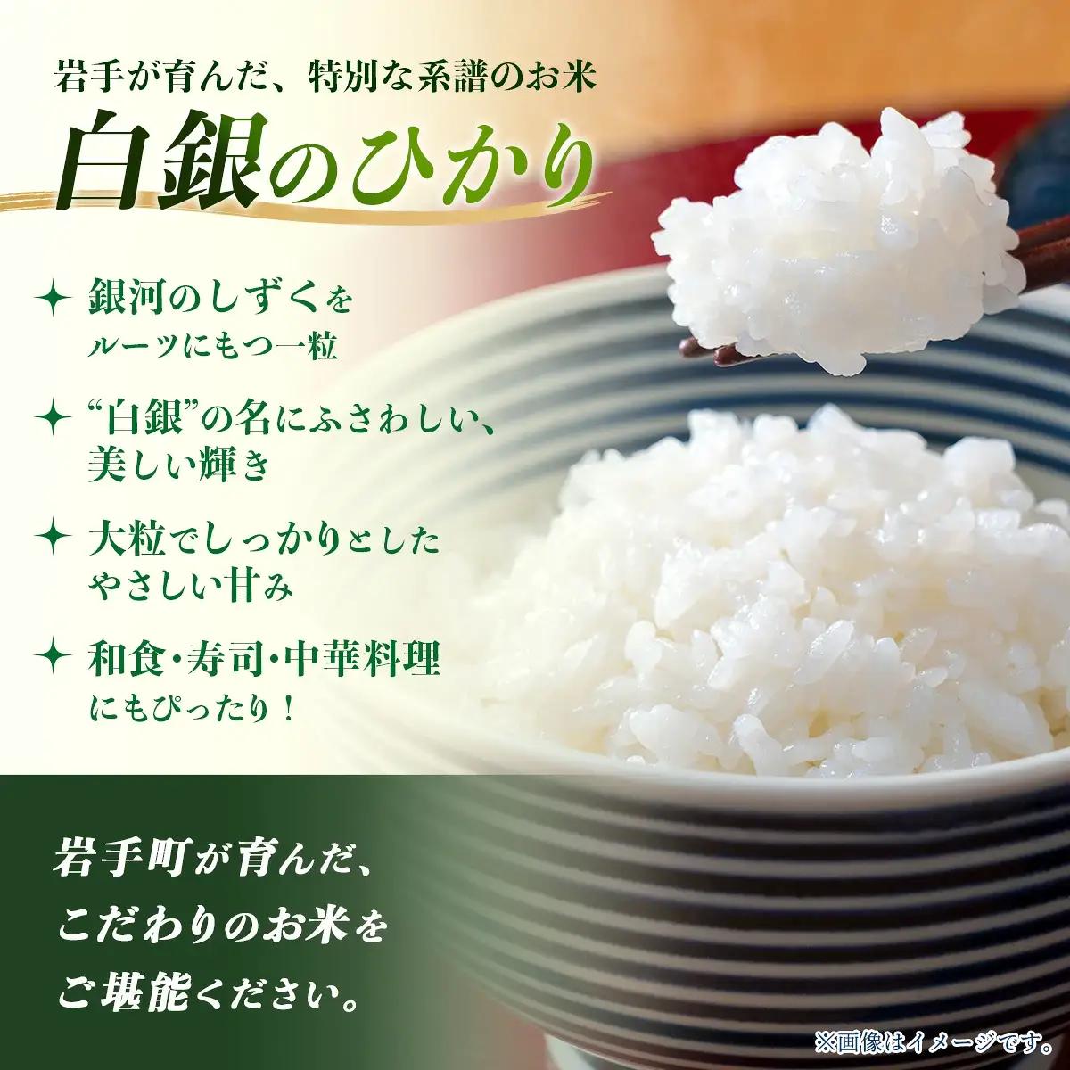 【先行予約】 令和8年度産 白銀のひかり 10㎏ 新米