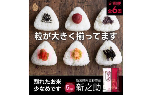 【令和7年産新米】【6か月定期便】 新潟県阿賀野市産 新之助 5kg×6回 計 30kg 米杜氏 壱成 白米 精米 大粒 つや 光沢 弾力 芳醇 1H53097