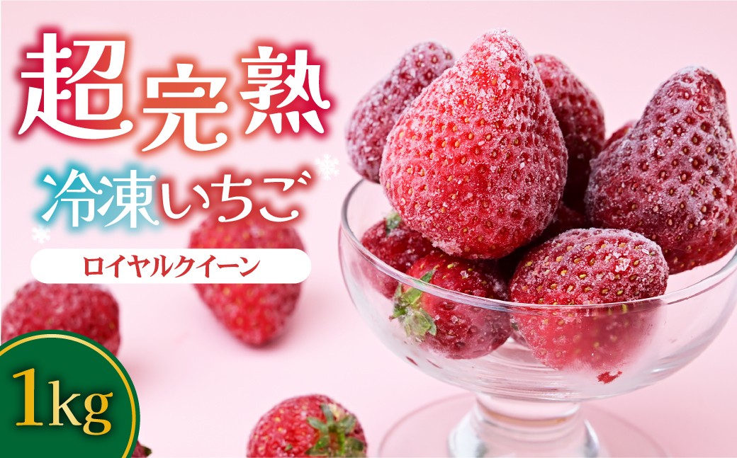 
                  冷凍いちご 完熟 ロイヤルクイーン 1kg（500g×2） | いちご イチゴ 苺 ロイヤルクイーン 完熟 ジャム スムージー スイーツ デザート アイス シャーベット 果物 フルーツ  鈴木いちご園 栃木県 茂木町
                