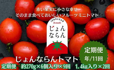 トマト定期便 じょんならん モリヒロ園芸 ミニトマト トマト定期便【年間11回】
