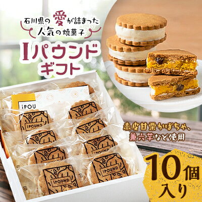 【ふるさと納税】Iパウンドギフト【配送不可地域：離島】【1149510】