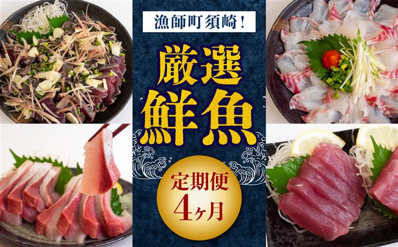 4ヶ月 定期便 旬 魚 刺身定期便 鮮魚