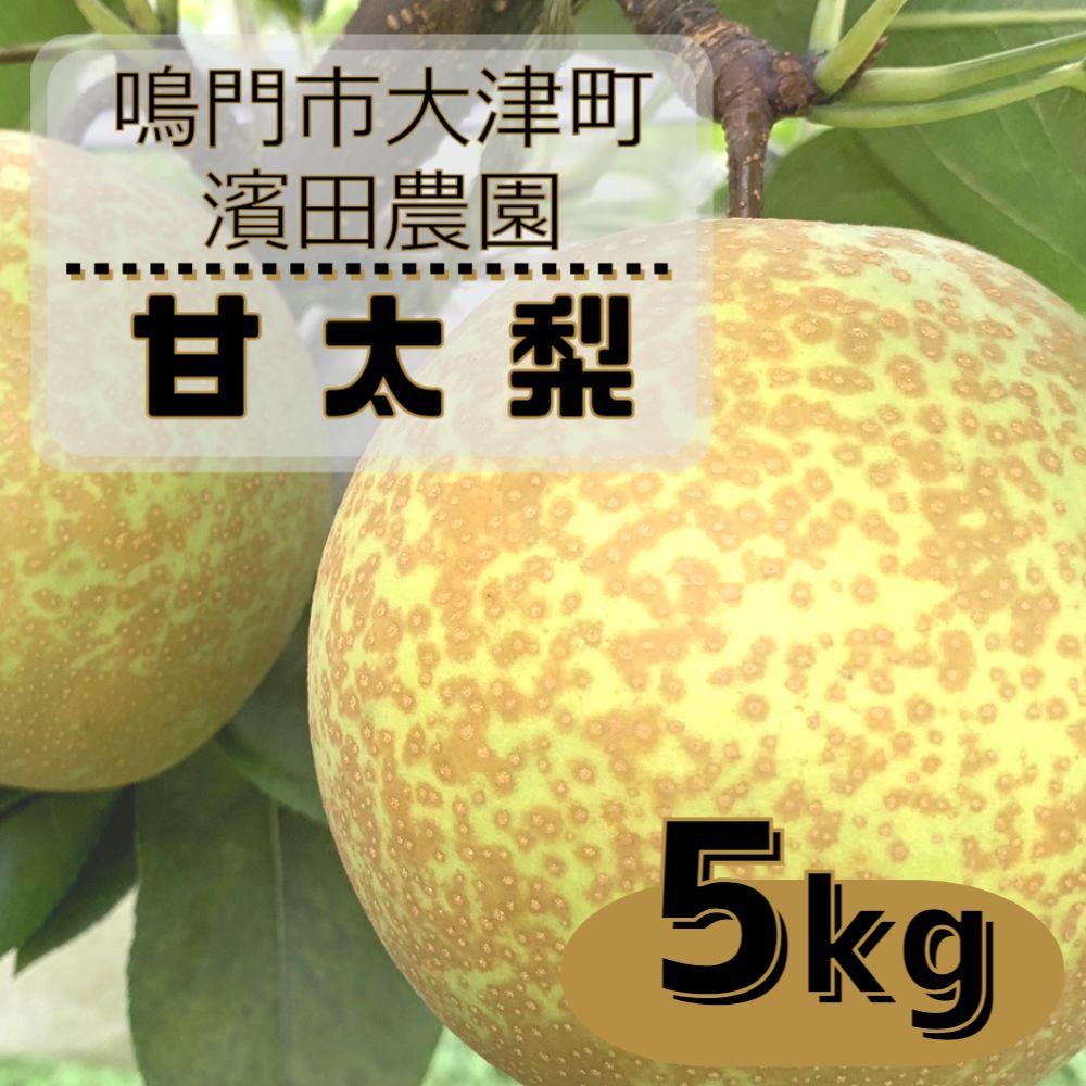 【ふるさと納税】【予約受付中・10月上旬～中旬より順次発送】濱田農園 甘太梨 約5kg 【数量限定】 徳島県産 感動の甘さ 和梨 豊水 幸水 国産 鳴門