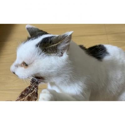 ふるさと納税 安芸高田市 鹿の内臓ジャーキー4点セット 犬 犬用 おやつ 鹿肉 内臓 ジャーキー[No5895-0844] |  | 02