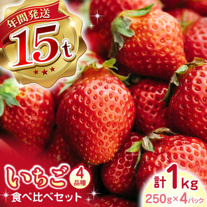 【ふるさと納税】【先行予約】【2025年12月より順次発送】いちご 4品種 食べ比べセット 計1000g ( 250g × 4P ) 農園直送 産地直送 熊本県産 山都町産 イチゴ 苺 ストロベリー フルーツ 果物 【なかはた農園】[YBI002]