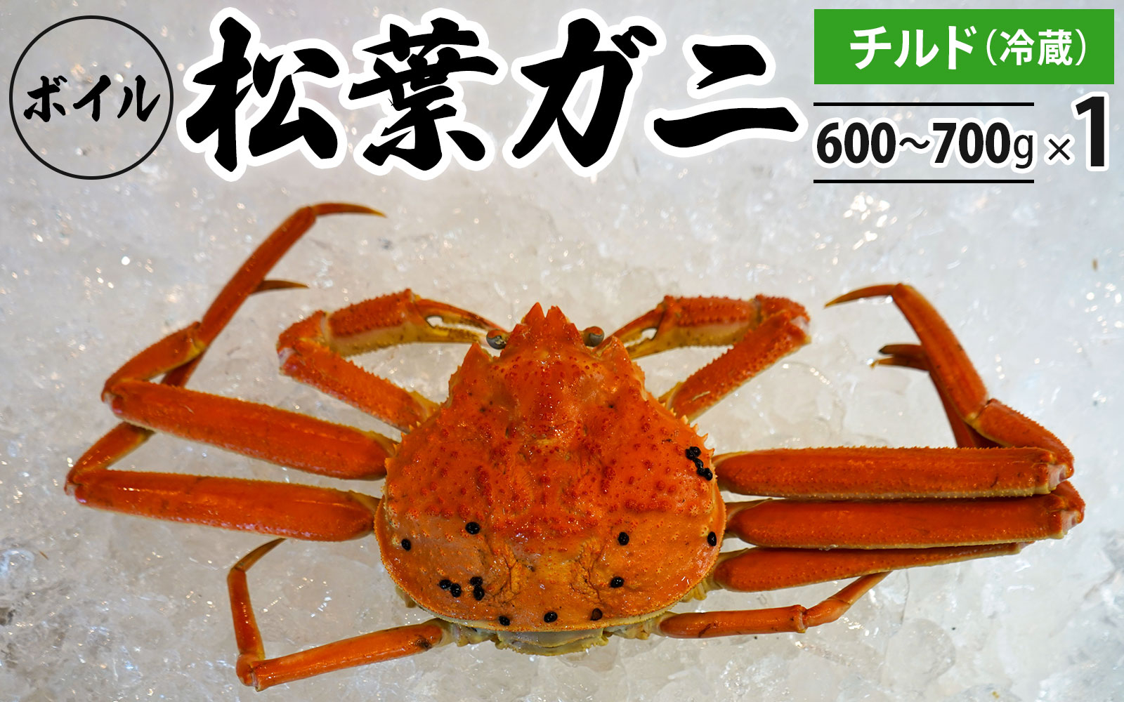 
【先行予約】ボイル松葉ガニ（600g～700gを1枚）OM-18 松葉ガニ 松葉がに かに 蟹 カニ 鳥取県境港 御来屋漁港
