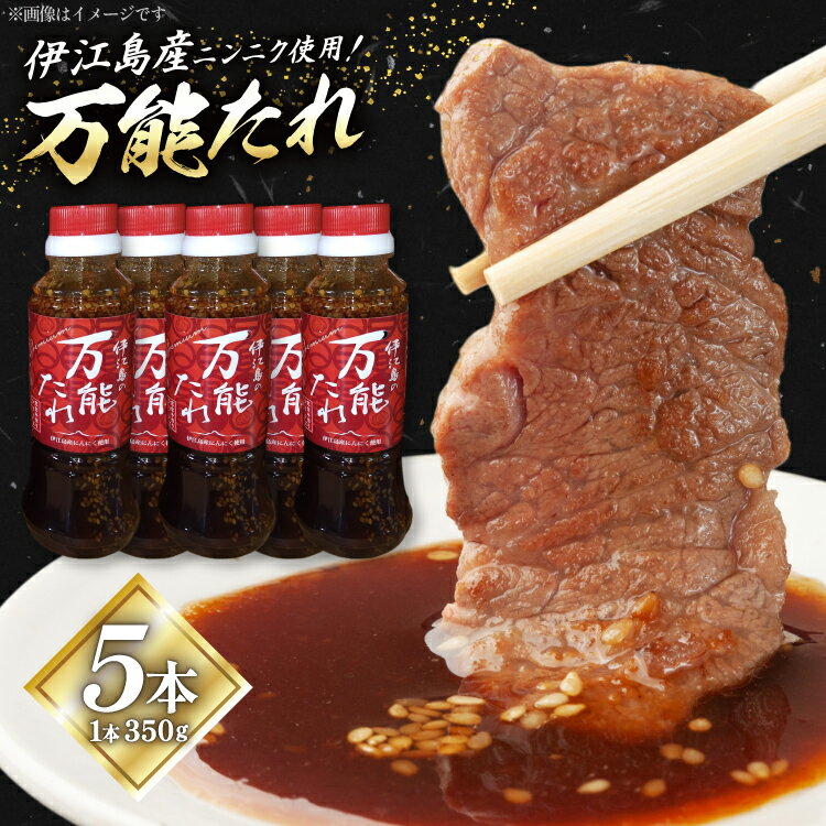【ふるさと納税】 万能たれ 5本 計1750ml [伊江村生活研究会 沖縄県 伊江村 ie47bde300000] ニンニク ショウガ 味付け 肉料理 コク お取り寄せ 野菜炒め 焼き肉 調味料