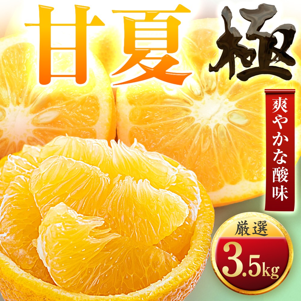 
                  【クセになる爽やかさ】甘夏【極】3.5kg　愛媛県産【C49-84】 【1621796】 YWTZ069
                