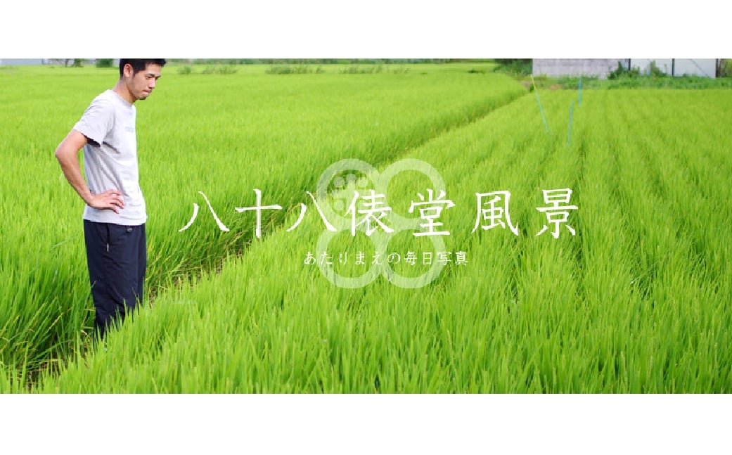 倉敷産特別栽培米ヒノヒカリ 10kg