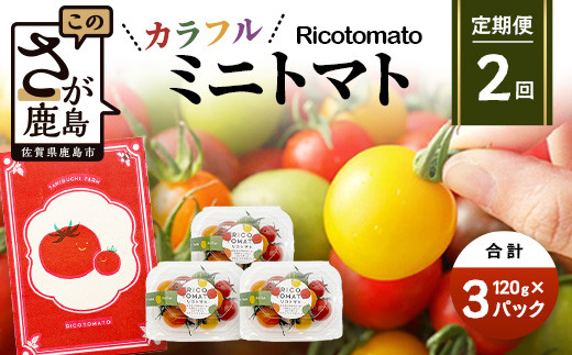【2回定期便】【先行受付】2027年1月より順次発送｜【少量パック】カラフルミニトマト6種 360g（120g×3）｜トマト プチトマト 野菜 農家直送 ギフト 人気｜佐賀県鹿島市 たにぐちファーム C-147