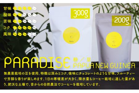 【豆】カノコヤ コーヒー2種 有機JAS認証・無農薬栽培豆使用珈琲豆セット 300g×2 自家焙煎 珈琲豆 ペルー＆パプアニューギニアパラダイスプレミアムAA 大  珈琲 飛騨古川　自家焙煎 [Q15