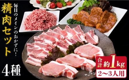 【使いやすい豚肉＆牛肉セット】毎日のメインのおかずを彩る 精肉 セット 4種 ( 約1kg ) 2-3人前 4種 糸島市/糸島ミートデリ工房 [ACA200]