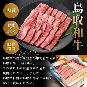 鳥取和牛DAISEN肩ロース焼肉(計400g)国産 鳥取県産 和牛 肩ロース 大山 牛肉 お肉 肉 お取り寄せ ギフト 贈答 プレゼント 誕生日プレゼント お祝い【sm-AO003】【大幸】