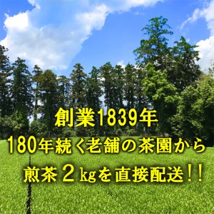 匠の技　「さしま茶」産地元詰2kg（500g×4本）日本茶/ギフト/お中元/小分け/大容量_BM01◆