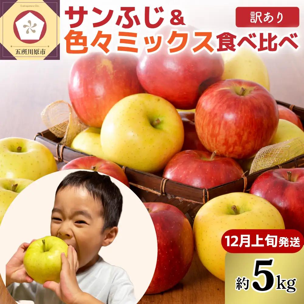 青森りんご 【2026年12月上旬発送】【訳あり】りんご 5kg 青森 家庭用 完熟 サンふじ ＆ 色々ミックス