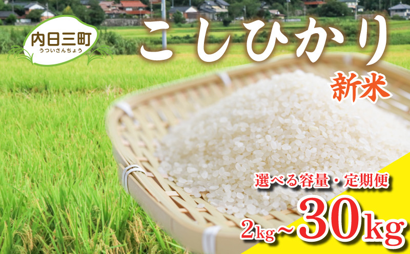 
【新米先行予約】 コシヒカリ 2kg ~ 30kg 選べる 容量 定期便 ( 米 こめ コメ お米 白米 精米 無洗米 こしひかり お試し お取り寄せ 食品 人気 おすすめ プレゼント ギフト 贈答 家庭用 便利 お手軽 備蓄 ご飯 お弁当 おにぎり 山口県産 産地直送 特別栽培エコ50 (化学農薬・肥料50％以上削減/精米まで一貫加工)
