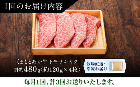 【全3回定期便】【GI認証】くまもとあか牛トモサンカク 約120g×4枚 トモサンカク BHAS078