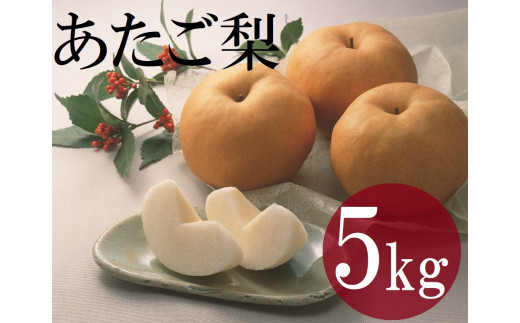 鳥取県産梨「あたご」 5kg