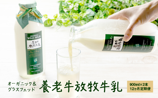 【定期便：全12回】オーガニック＆グラスフェッド養老牛放牧牛乳900ml×2本【1301501】
