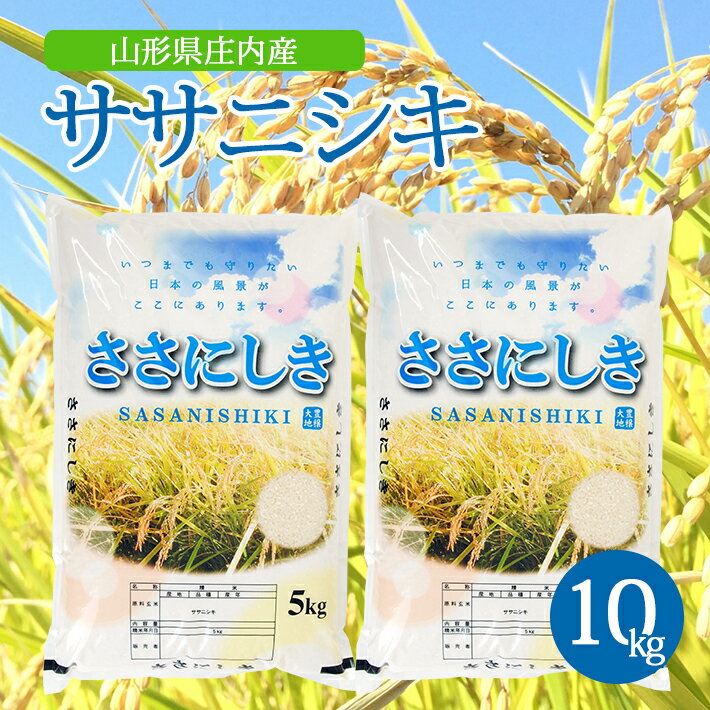 【ふるさと納税】ササニシキ 5kg×2袋 計10kg 令和7年産米 山形県庄内産 ご希望の時期頃お届け 東北 山形県 酒田市 庄内地方 米 精米 白米 お米 ごはん ご飯 庄内米
