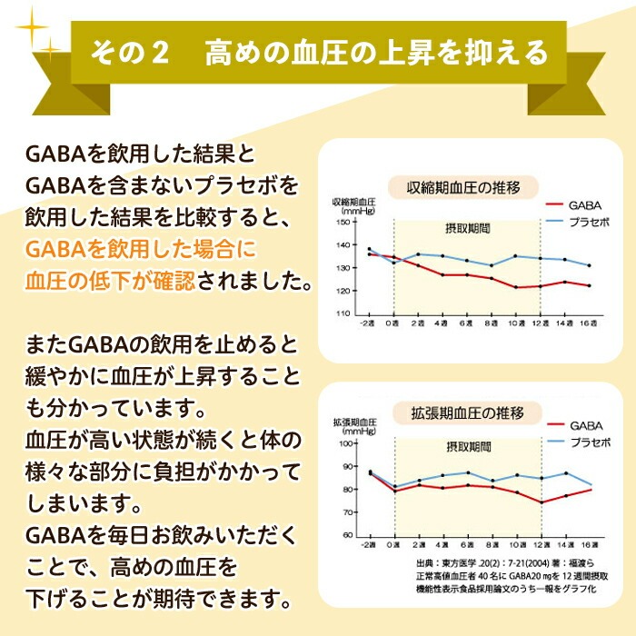 No.1286-B ＜定期便・全6回(隔月)＞GABA100(1袋 62粒入・2袋×6回 計12袋) 鹿児島 日置市 健康食品 機能性表示食品 サプリ 栄養バランス 高血圧 定期便【てまひま堂】