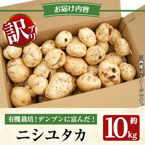 ≪訳あり≫湧水町産有機じゃがいも ニシユタカ 約10kg 国産 九州産 鹿児島産 有機野菜 有機栽培 じゃがいも ジャガイモ にしゆたか 野菜 やさい おかず 旬 わけあり 訳アリ 規格外 期間限定 