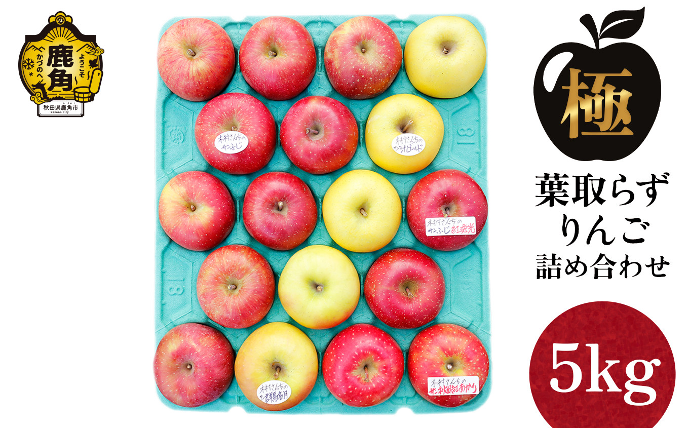 
                  《先行予約》《極》葉取らずりんご！ 3～5品種 詰め合わせ 5kg（13～20玉）品種おまかせ【録政園】●2026年11月中旬発送開始 葉とらず みずみずしい 果汁 リンゴ 林檎 完熟 旬 県産りんご お中元 お歳暮 贈り物 お見舞い グルメ ギフト 故郷 秋田県鹿角市産 送料無料
                