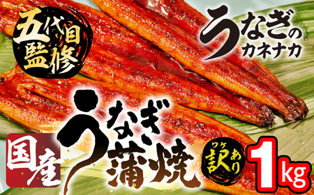 国産うなぎ蒲焼 1kg 豊橋 うなぎ