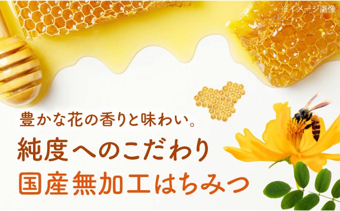 ふるさと納税 はちみつ 蜂蜜 ハチミツ 国産はちみつ 高級 上質 高品質 純粋