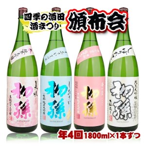 SF0089　【四季の酒田の酒まつり頒布会】　初孫純米大吟醸1800ml×1本(全4回)