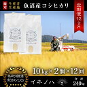 【ふるさと納税】＜定期便・全12回＞【令和6年産】魚沼産コシヒカリ「イネノハ 」精米(10kg×2)×12回　定期便・ お米 白米 ご飯 産地直送 ミネラル 栄養分 こだわり 人気 新鮮 　お届け：毎月1回、全12回お届けします