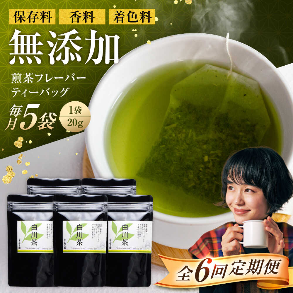 【ふるさと納税】【6回定期便】香る 煎茶フレーバー ティーバッグ 5袋セット お茶 国産 岐阜 白川町 / 菊之園[AWAG006]