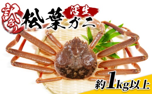 【22016】鳥取県網代産　訳あり松葉がに1kgセット