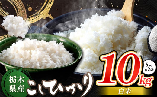 栃木県産 コシヒカリ 白米 10kg | お米 こめ ご飯 ごはん おにぎり おむすび 米 送料無料 定期便 単品 こしひかり 栃木県 銘柄米 ブランド米 栃木県共通返礼品