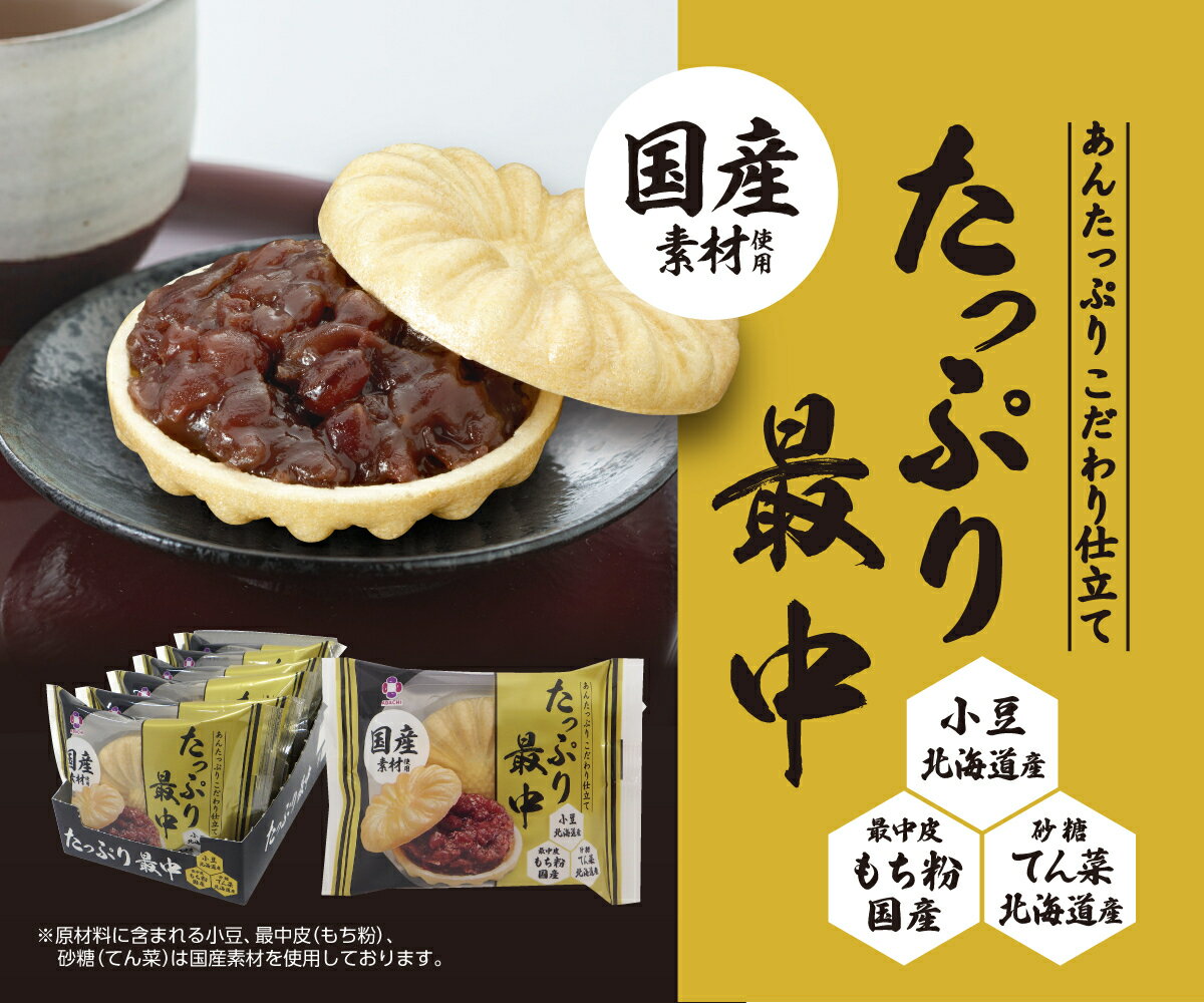 【ふるさと納税】アダチ製菓　たっぷり最中 (6個入り×8箱)