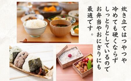 【令和7年産】ｺｼﾋｶﾘ 5kg 新潟県 糸魚川産『塩の道』牧江米店