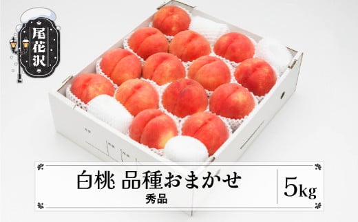 
先行予約 もも 白桃 秀品 品種おまかせ 5kg 化粧箱入 フルーツ 果物 2025年産 令和7年産 山形県産 ns-mohtx5
