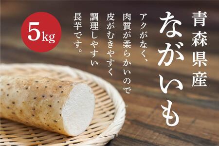 長芋 5kg ながいも 野菜　